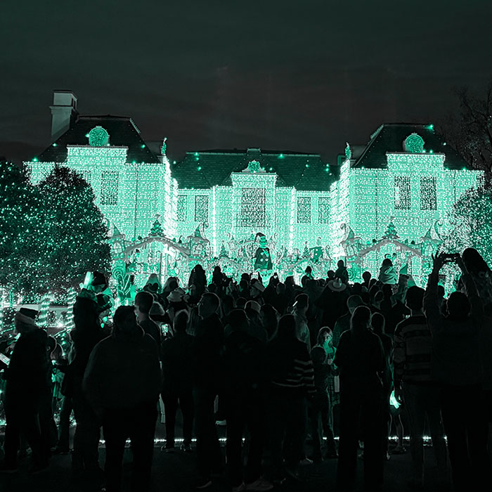 The Grinch of Dallas District 13