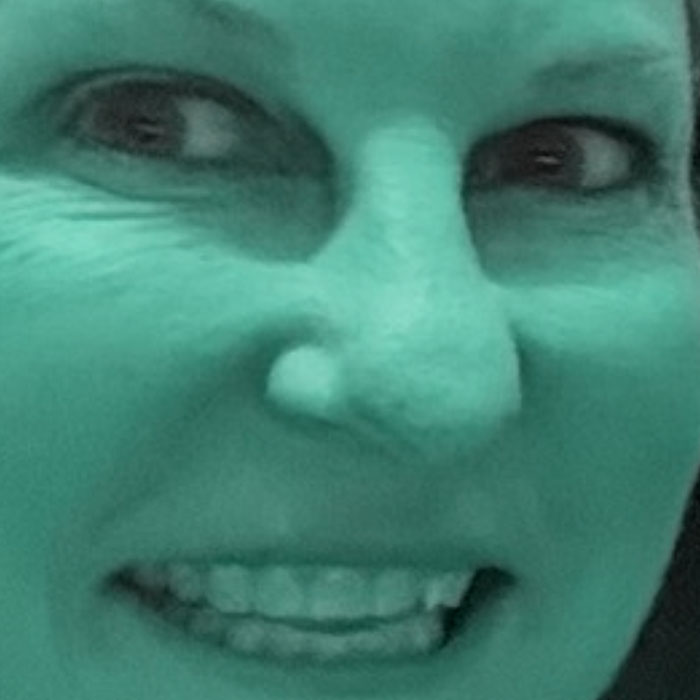 Gay Donnell Willis Betrays Constituents