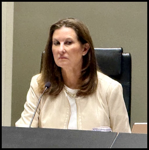 Gay Willis at a Dallas City Council meeting